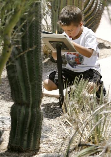 Children earn their stripes at park   