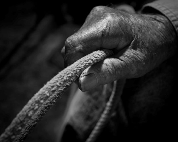 Photographer's passion for nature snares him Nat'l Geographic prize    
