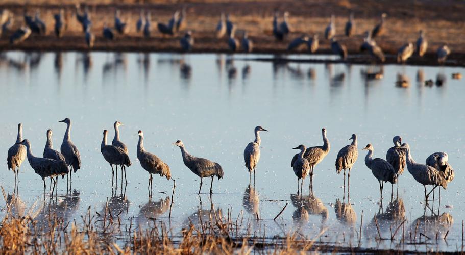 2017 Wings Over Willcox