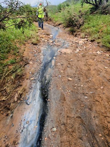 Hazardous waste spill in Sonora could affect San Pedro River, hydrologist says