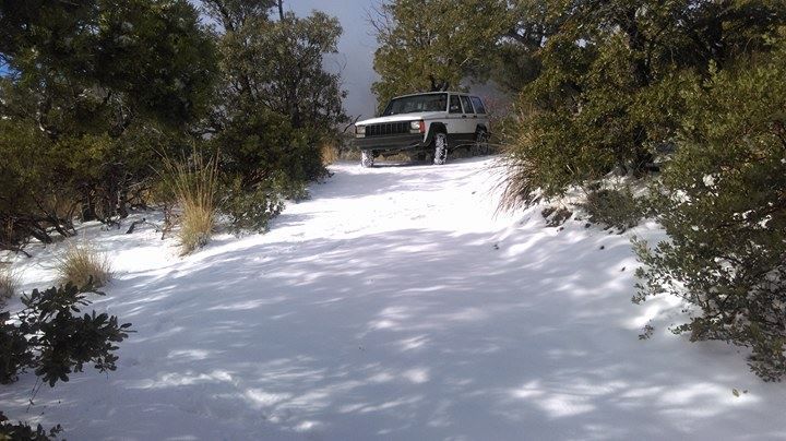 Snow on Mount Lemmon