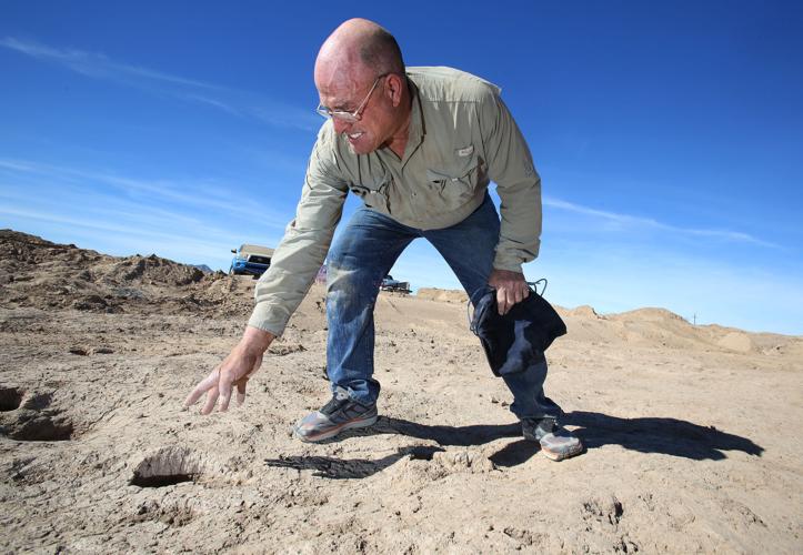Prehistoric human footprints found