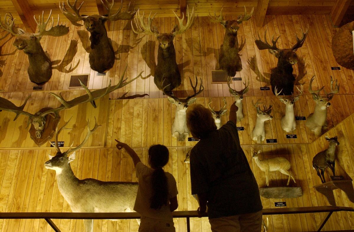 Tucson's International Wildlife Museum closes