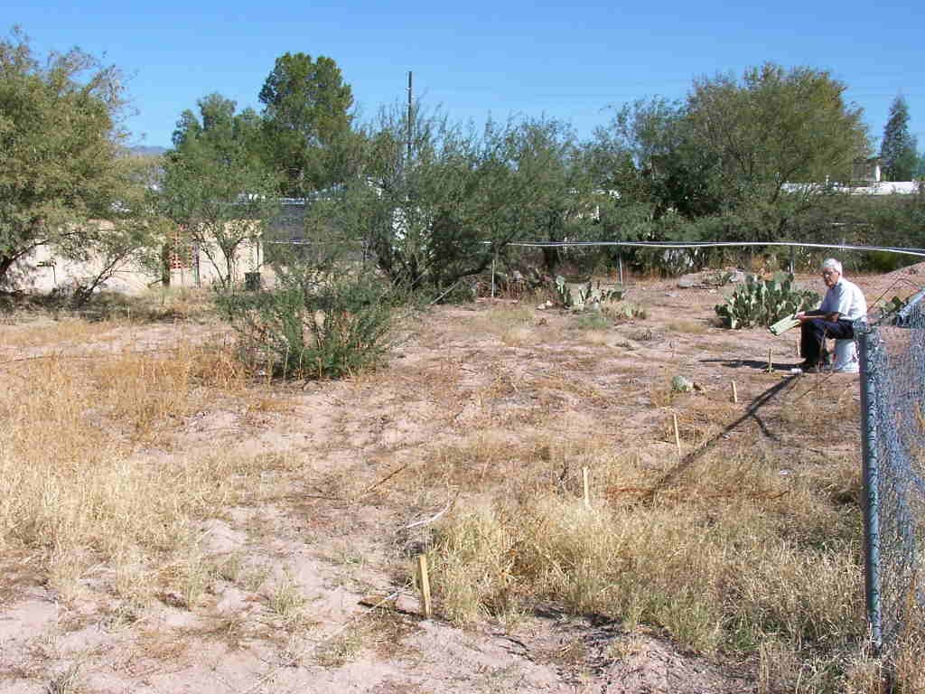 Community Gardens of Tucson