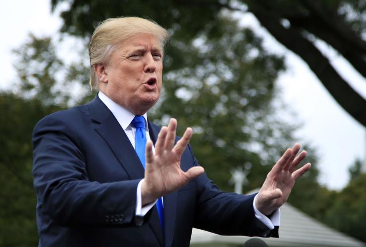 Trump One Year Fact Check