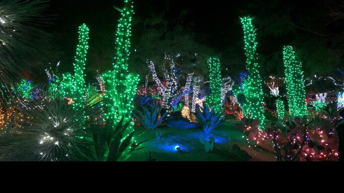 Gifts for the Tucson gardener in your life | Home & Garden