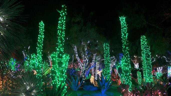 Gifts for the Tucson gardener in your life | Home & Garden