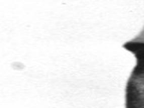 Tales from the Morgue: Wyatt Earp breathes his last | Stories from the  archives | tucson.com