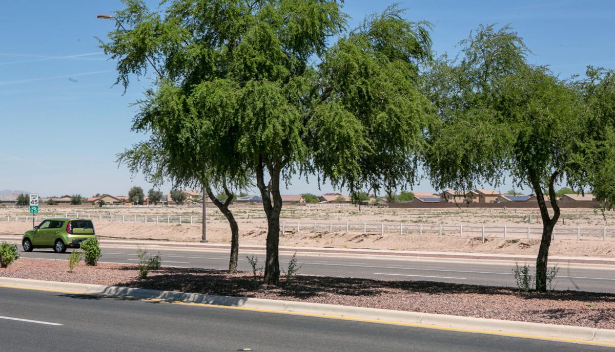 Frys at Gladden Farms