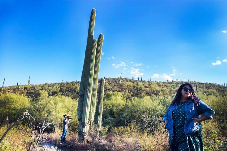 San Xavier Mission day trip: Robles Pass
