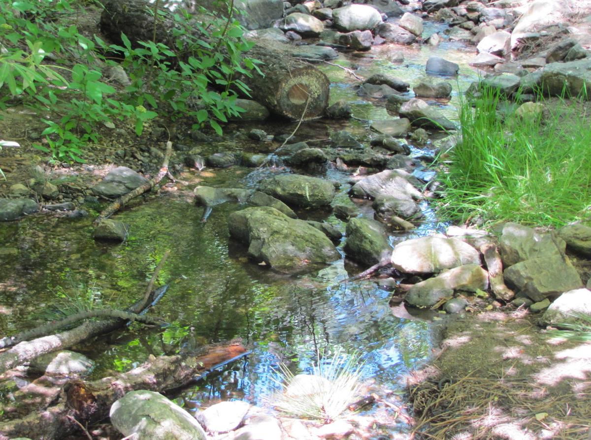 Marshall Gulch in Catalinas offers relief from sizzling city heat