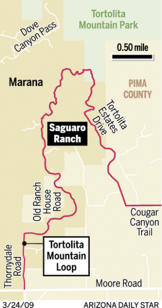 Luxury project's developer files for bankruptcy  