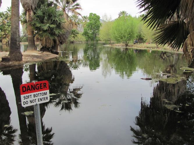 Main pond at Agua Caliente Park