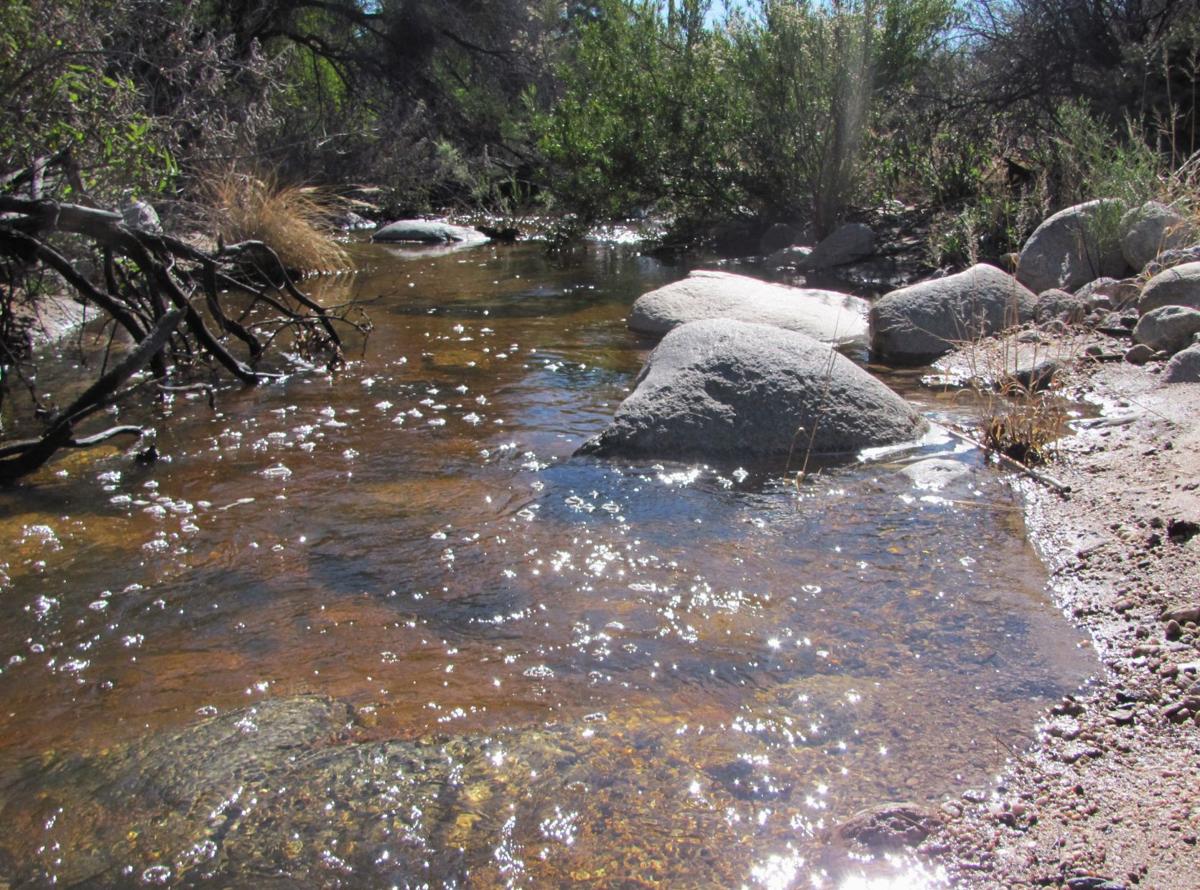 Mountain Snowmelt Has Creeks Flowing Briskly In Canyons Around Tucson Outdoors Tucson Com Creeks and streams abound in the city of abbotsford, as shown on the creeks and streams map. mountain snowmelt has creeks flowing