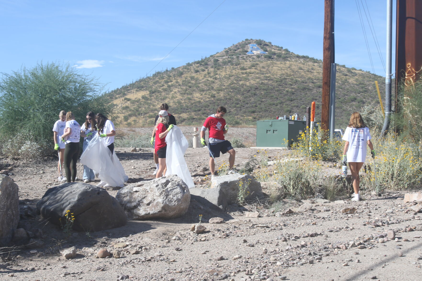 Tucson Volunteers Turn Out In Droves For Community Projects