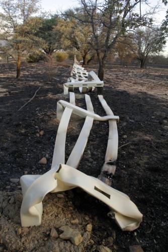 Melted fence