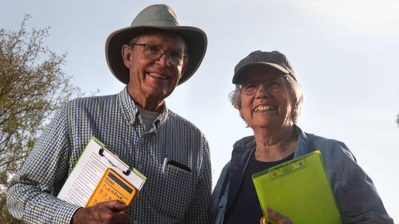 Saguaro research kept alive for decades by Tucson couple - Vimarsana News