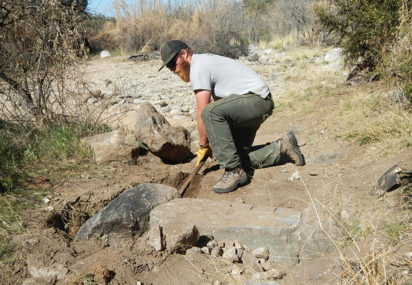 Saguaro National Park trails