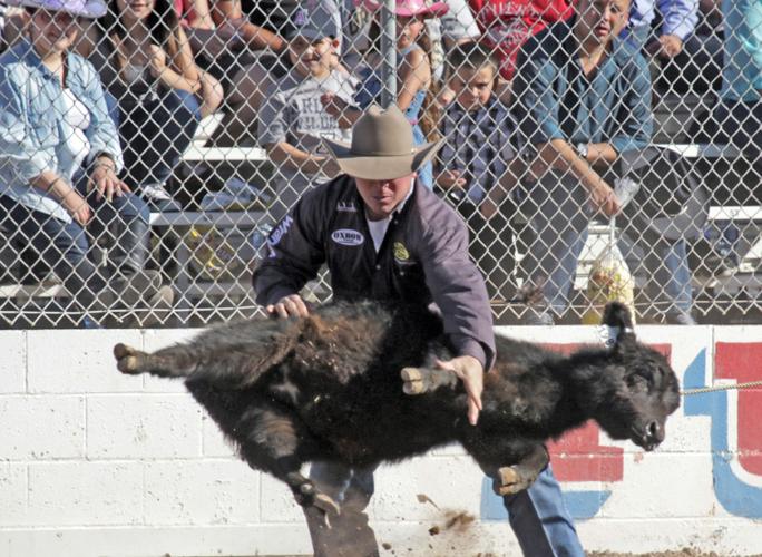 2016 Tucson Rodeo