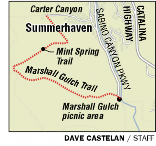 Mint Spring Trail: A reborn forest awaits hikers on trek to spring