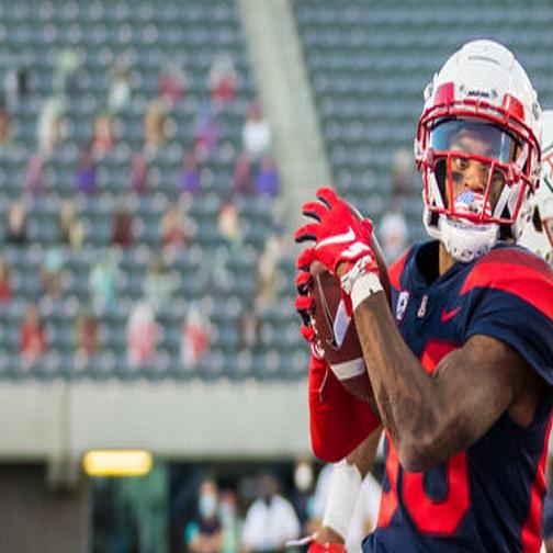 Campamentos De Futbol Americano En Estados Unidos Los Gatos se lanzan al ciberespacio en español | Gente | tucson.com