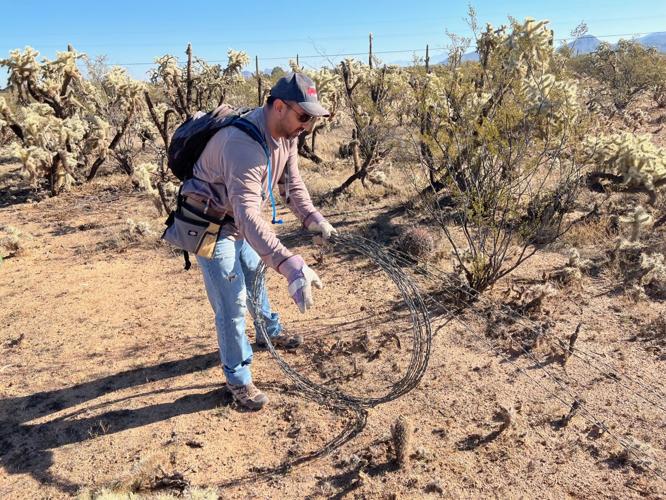 Barbed wire fence removal, 2021-22