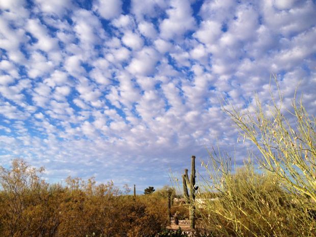 Mackerel sky