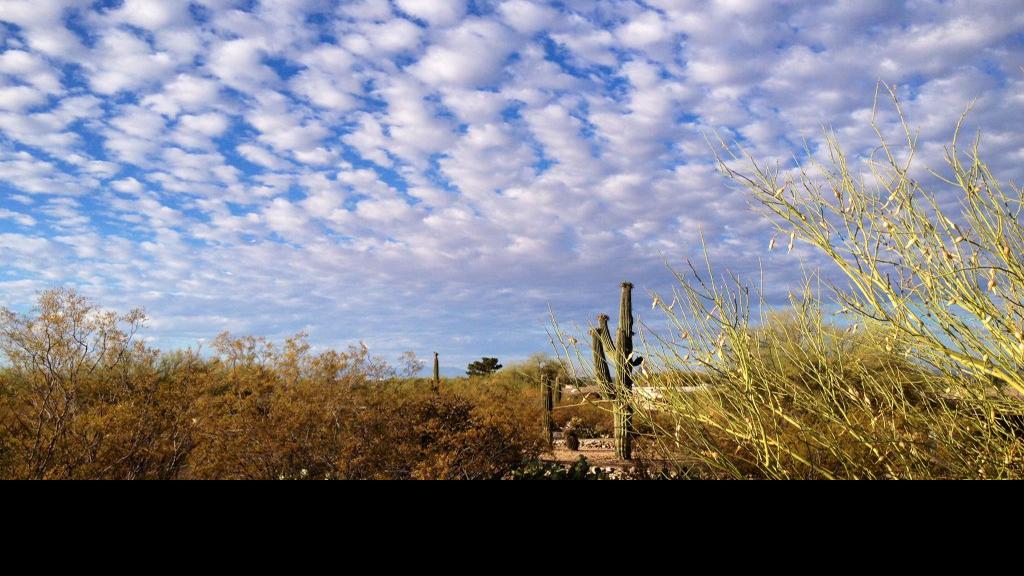 Tucson weather Warmer temperatures under partly cloudy skies