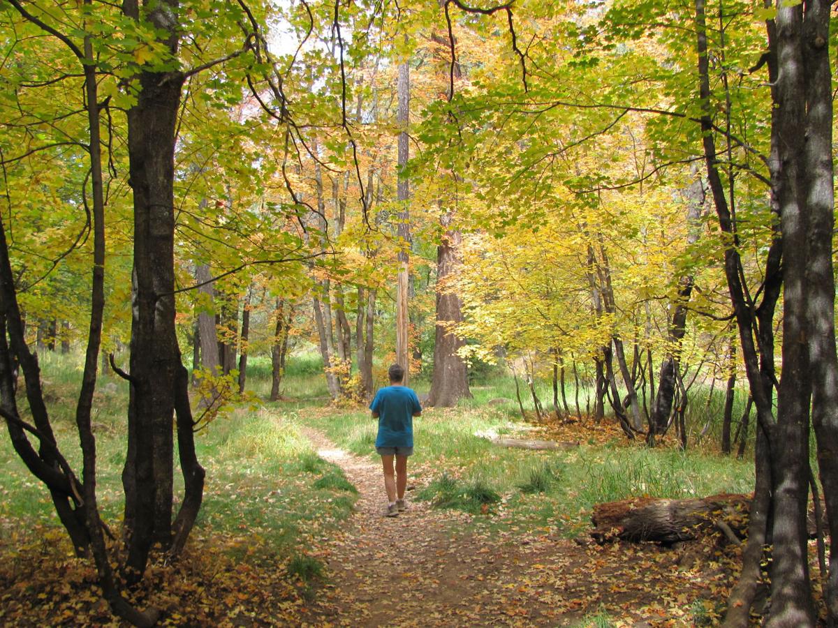 Hiker in autumnal landscape