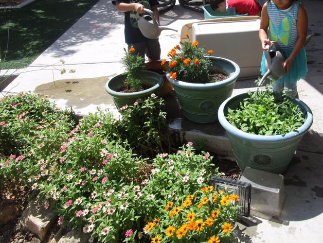 McCorkle preschool garden