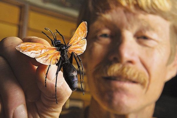 'Excruciating, unrelenting pain basically shuts down any function that you can do other than awareness of the pain'  