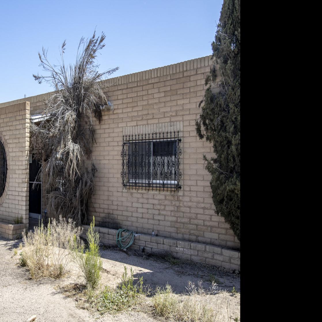 A Brewery With A Dog Park Is Coming To Midtown Tucson Business