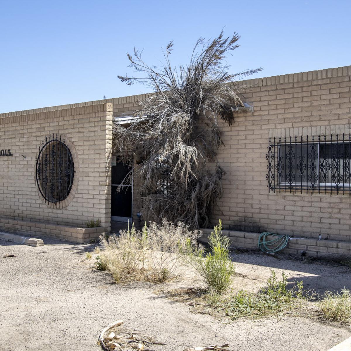 A Brewery With A Dog Park Is Coming To Midtown Tucson Business