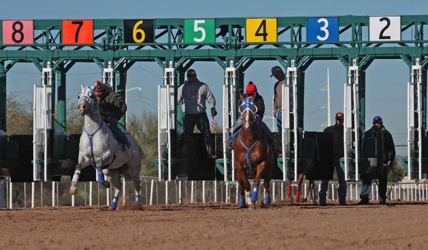 Rillito Park's new season