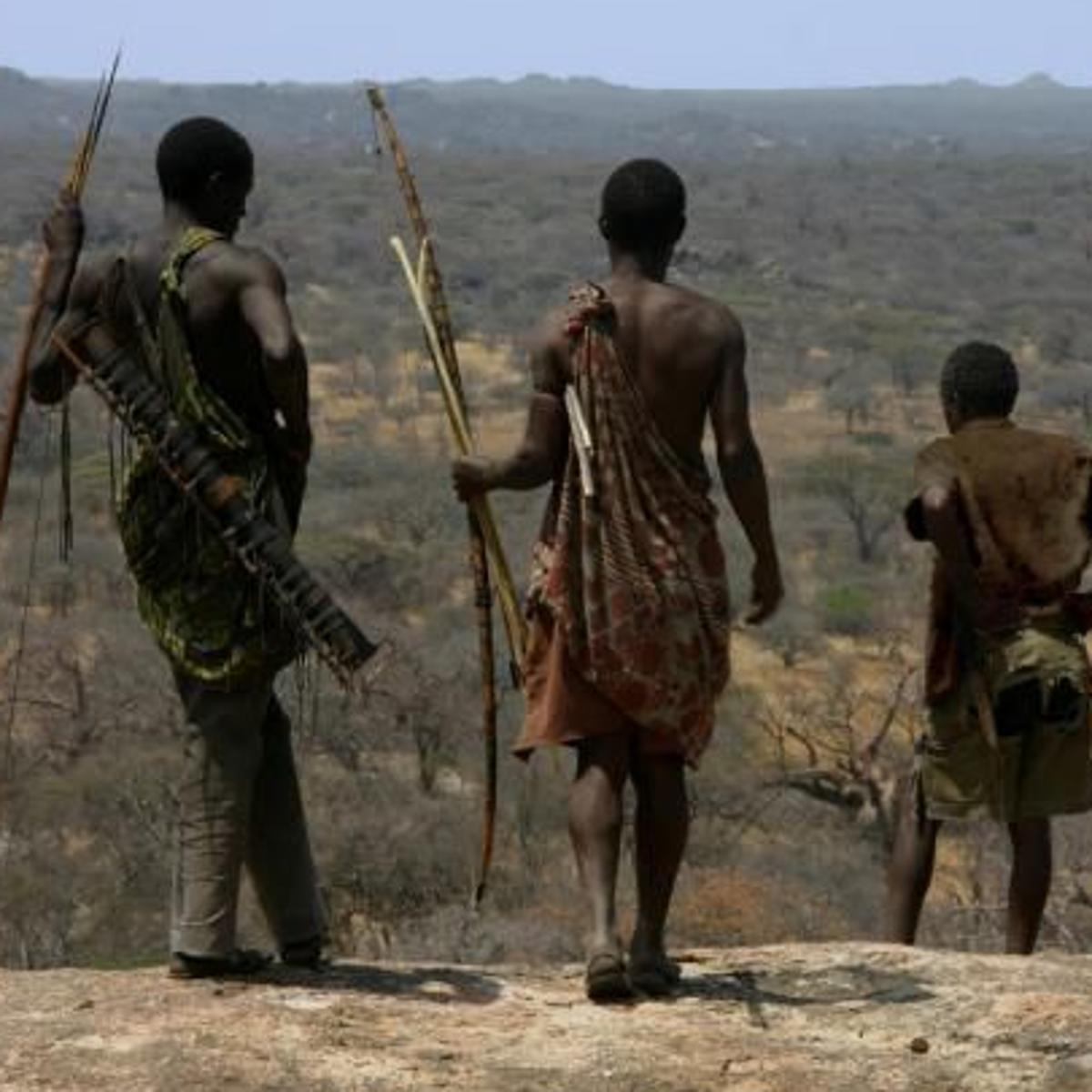 UA anthropologist: Our sedentary ways run counter to human evolution | Local news | tucson.com