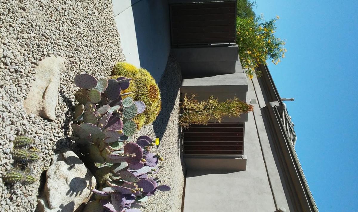 How do I reinstall the latch on my side yard gate?