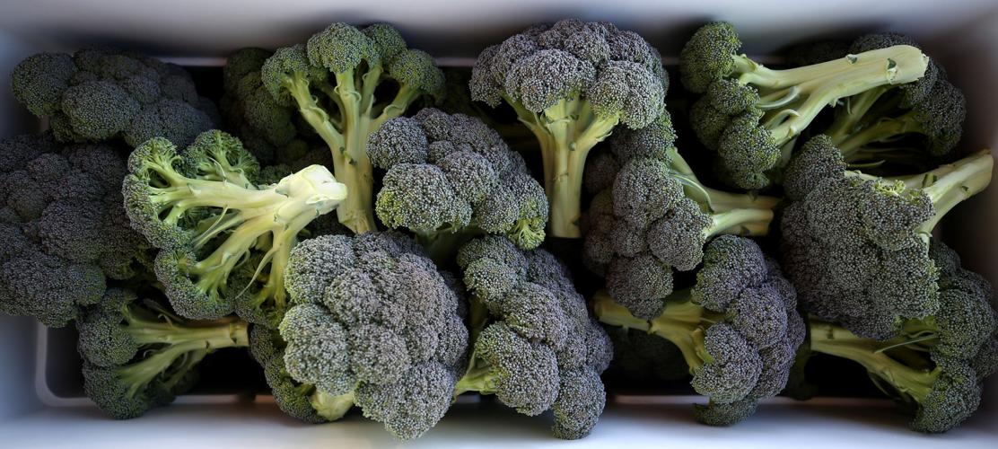 Las Milpitas Community Garden