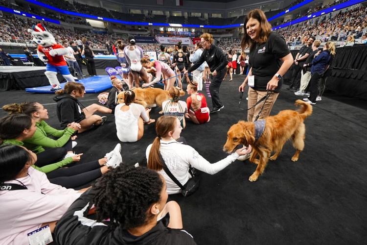 USA Gymnastics Overhaul