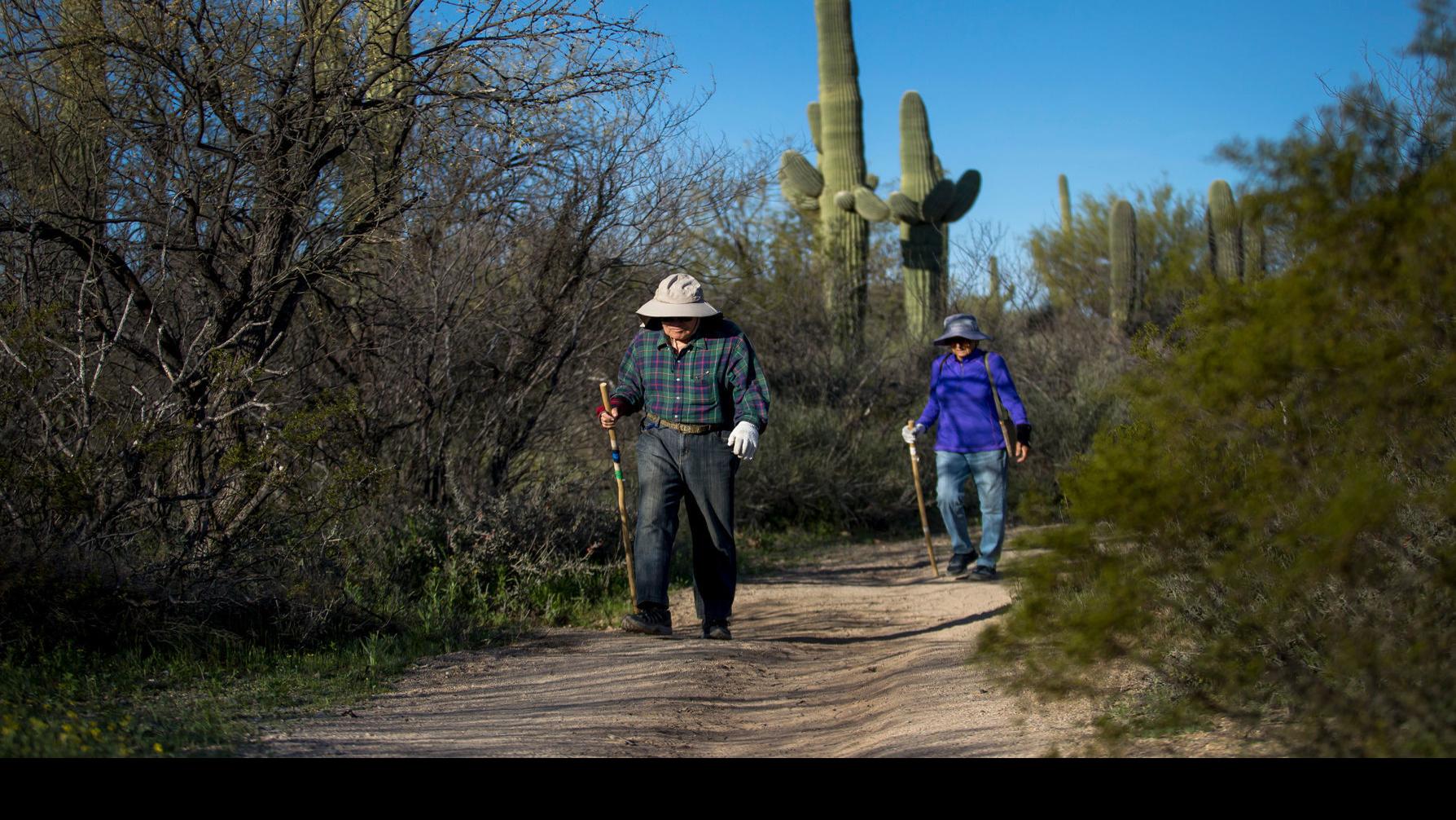 Record Crowds Swept Through Tucson S Saguaro National Park In 2019