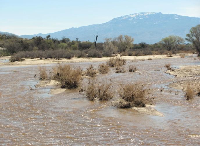 Rincon Mountains snow