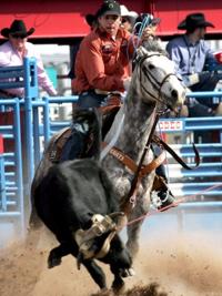 Hold on there, doggie   