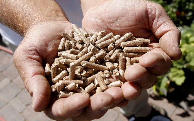 New grills do more than just cook   