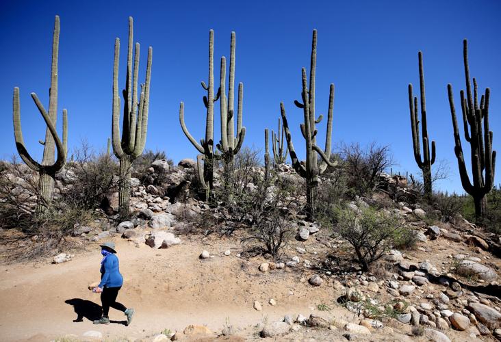 Arizona residents get free admission to state parks on MLK Day