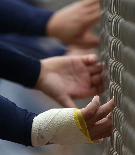 NC Dinos Spring Training