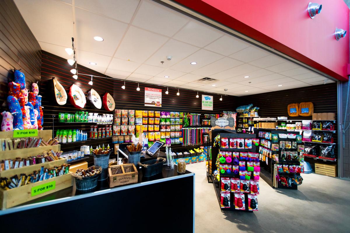 Tucson pets looking for a forever home | Entertainment ...