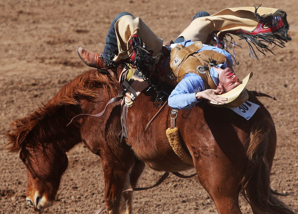 2016 Tucson Rodeo