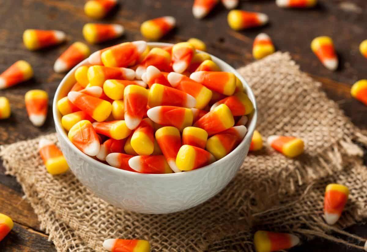 The great candy corn debate Love it or hate it?