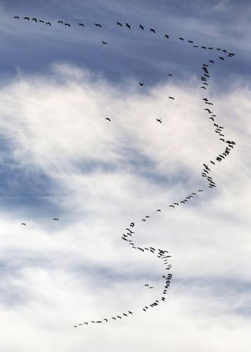 2017 Wings Over Willcox