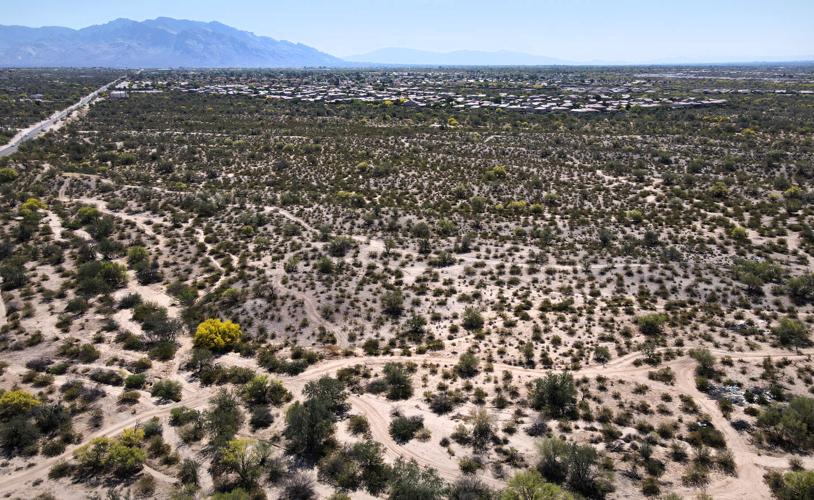 Build to rent housing community