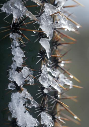 Snow in Tucson
